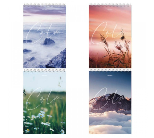 Блокнот  А4, 80л, клетка, (198х297) Brauberg "Calm", гребень сверху, жёсткая обложка, РФ