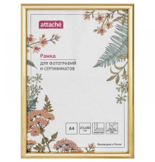 Рамка пластик Attache 21*30,  (золото). РФ
