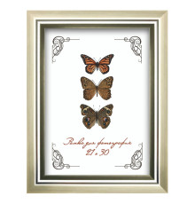 Рамка пластик со стеклом 21*30, 202М (серебряная). РБ