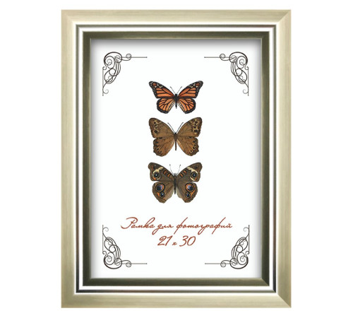 Рамка пластик со стеклом 21*30, 202М (серебряная). РБ