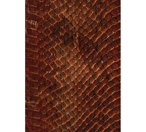 Блокнот А4,"Business book” 80л. твёрдая обложка, кирпично-коричневый, РБ