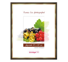 Рамка пластик. со стеклом 30*40, А3, 202/580 коричневая. РБ