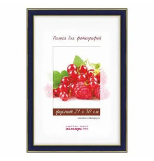 Рамка пластик со стеклом 21*30, 225/444 (синий мрамор, с золотой полос. внутри). РБ