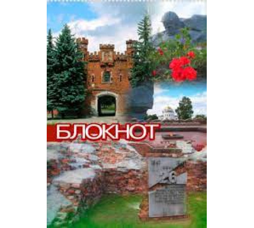 Блокнот А5, 50л. на спирали в клетку, РБ