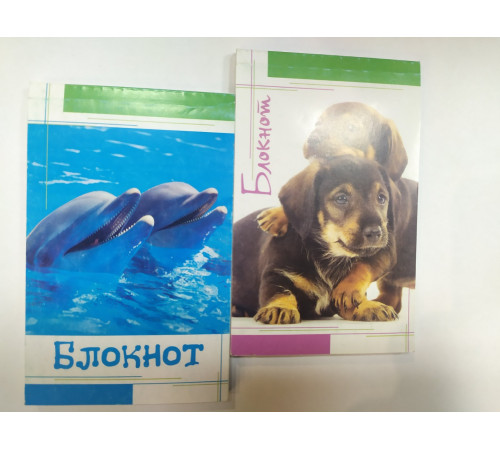 Блокнот А7~ 50л  б/лин.н/склей.обл.мел.карт., РБ