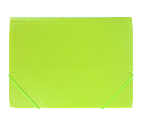 Папка на резинках А4 салатовая Diamond Darvish , пласт. 300мкм, Иран