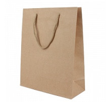 Пакет подарочный 19*24,5*8см"Darvish" "Крафт", Китай