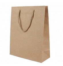 Пакет подарочный 19*24,5*8см"Darvish" "Крафт", Китай