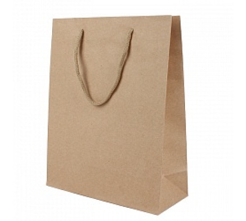 Пакет подарочный 19*24,5*8см"Darvish" "Крафт", Китай