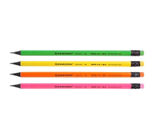Карандаш ч/г НВ "Darvish"  корпус трехгранный с ластиком, ассорти. Китай