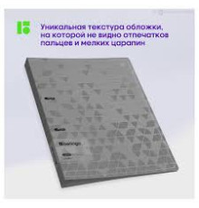 Папка на 2 кольца Berlingo "Metallic", 24мм, 1000мкм, сереб. металлик, с внутр. карма, Китай