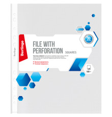 Файл A4 вертикальный, 30 мкм, 100 штук, Berlingo «Squares» матовые, РФ