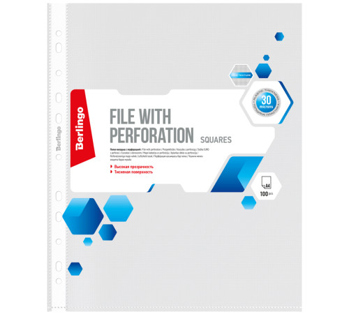 Файл A4 вертикальный, 30 мкм, 100 штук, Berlingo «Squares» матовые, РФ