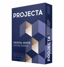 БУМАГА ОФИСНАЯ PROJECTA Special, А4, марка B, 80г/м2, 500л, РФ