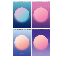 Блокнот  А4, 80л, клетка, 198х297,  BG"Mono circle", гребень сверху, жесткая обложка,Brauberg, РФ