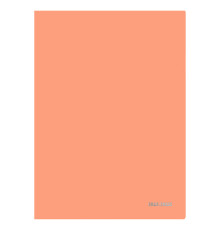 Папка-уголок А4 ProfPress, 180 мкм, непрозрачная, персиковый. РФ