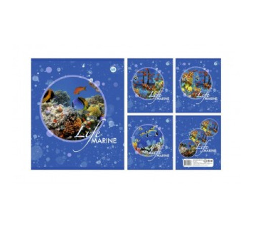 Тетрадь общая А5, 96 л. на скобе клетка обл.карт., Морское королевство, РБ