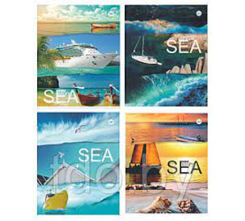 Тетрадь общая А5, 96 л. на скобе клетка обл.карт., Морская природа,  РБ