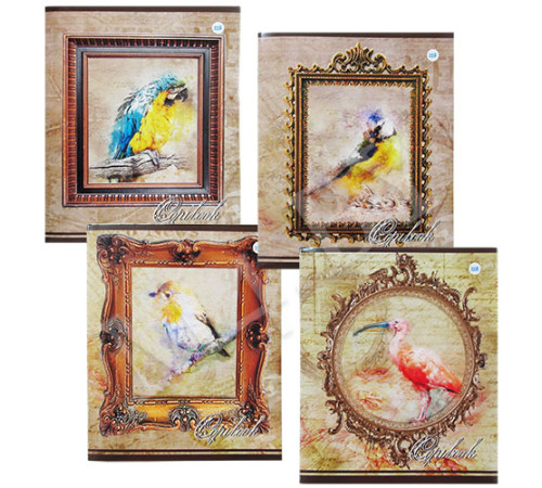 Тетрадь А5,(скоба) 48л,Ф.170*205, КЛЕТКА , серия Мир птиц, РБ