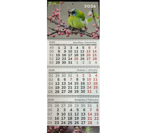 Календарь квартальный "Птица" на 3 спир.,2026г. РБ