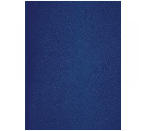 Тетрадь общая А4, 96 л. на скобе OfficeSpace, 200*270 мм, клетка, синяя, РФ